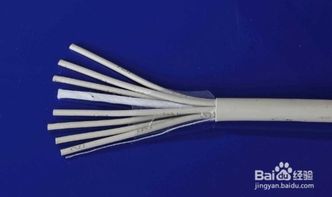 電話線能當電線給電動車充電嗎？危險與現實的考量